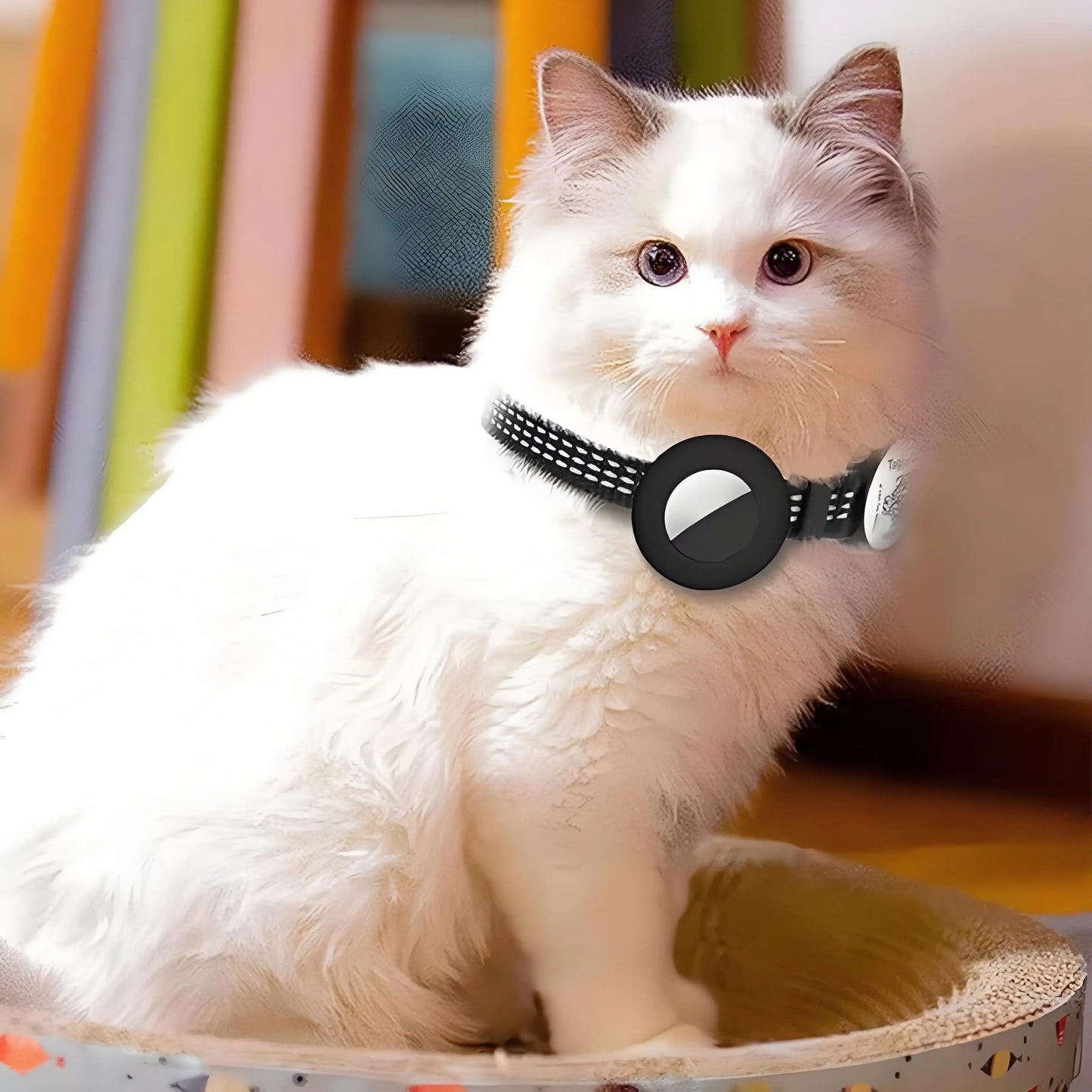 New Airtag Protective Cover Qr Code Collar Positioning Anti Loss Tracking Pet Collar Adjustable Reflective Strip Collar Rope