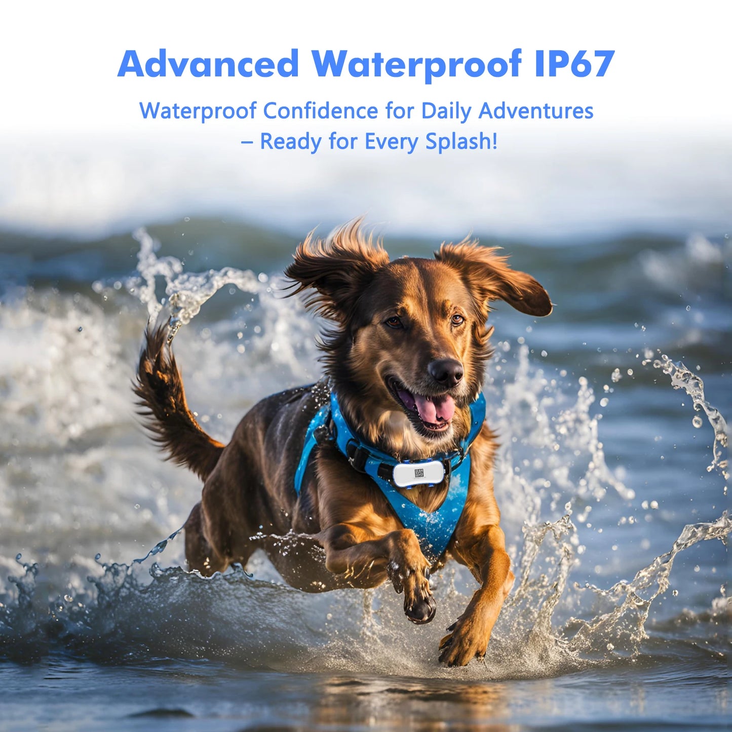 4G Dog Cat GPS Tracker for Pets - Waterproof Smart Locator with App, Live Tracking & Light/Sound Search, Free Trial Included