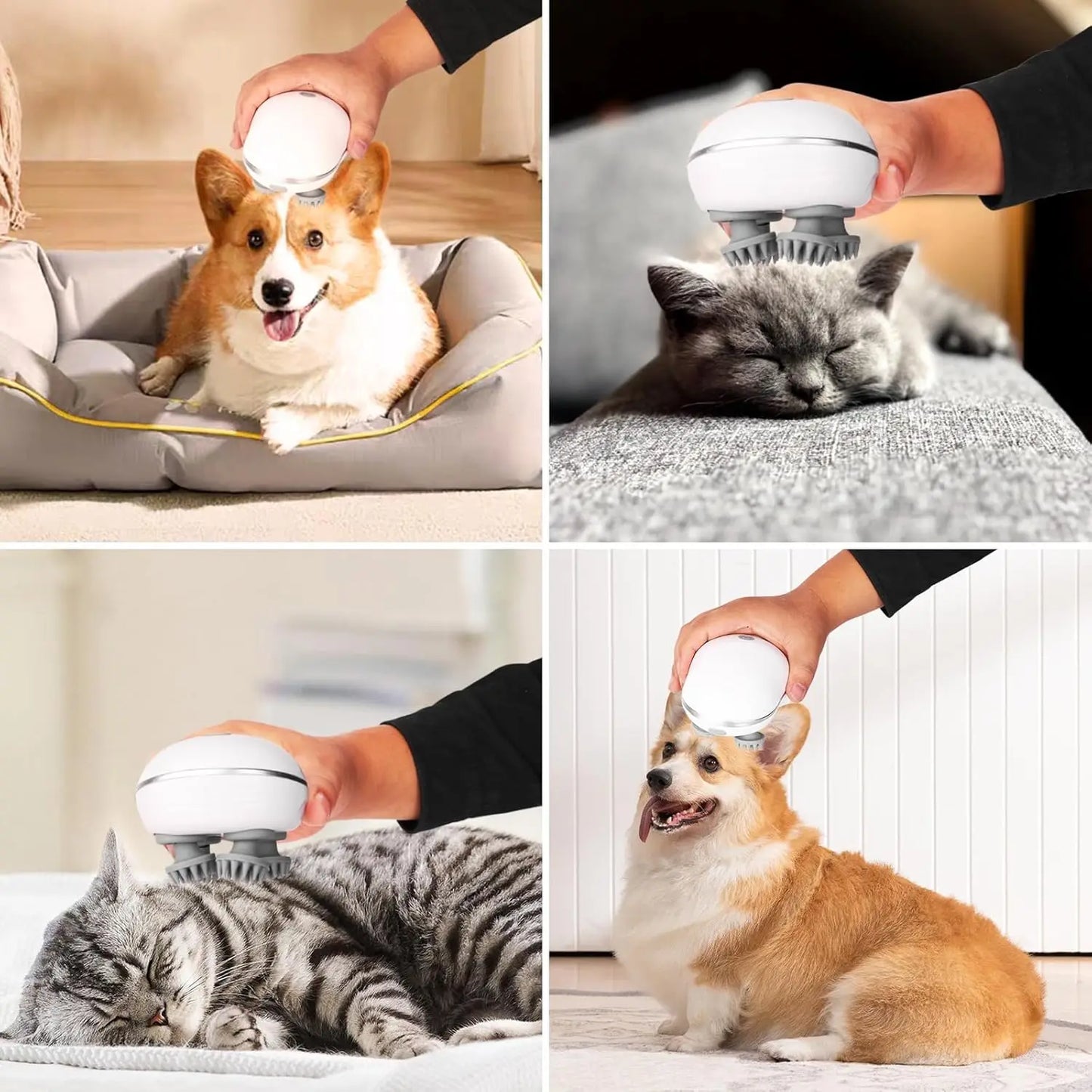 Massageador Mini Elétrico para Cabeça de Animais de Estimação com 4 Pontas Giratórias de Silicone Super Macio Mini Massageador Portátil Sem Fio Bateria de Longa Duração