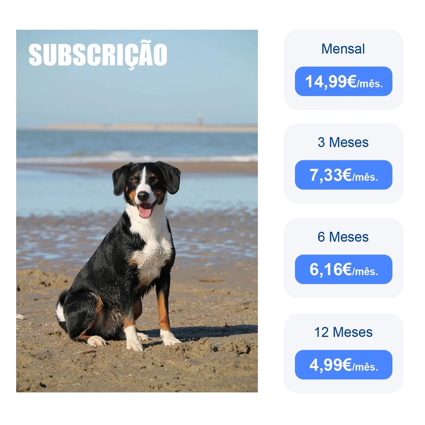 4G Dog Cat GPS Tracker for Pets - Waterproof Smart Locator with App, Live Tracking & Light/Sound Search, Free Trial Included