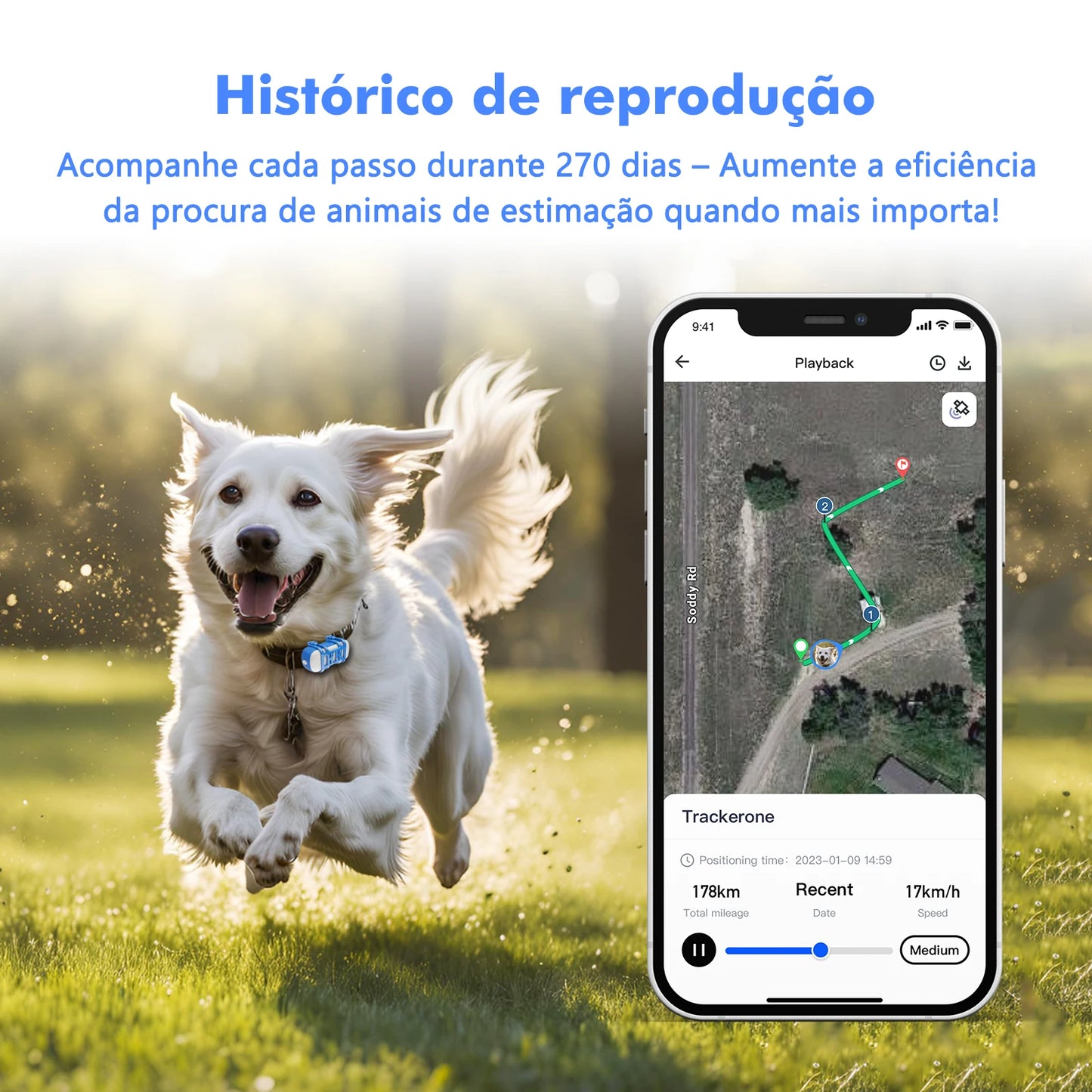 4G Dog Cat GPS Tracker for Pets - Waterproof Smart Locator with App, Live Tracking & Light/Sound Search, Free Trial Included