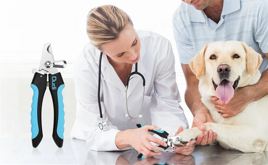 Tesoura de Unhas para Cães e Gatos Cortador de Unhas Profissional para Pets com Proteção de Segurança, Tesoura de Aço Inoxidável para Cuidados com Unhas de Gatos e Cães