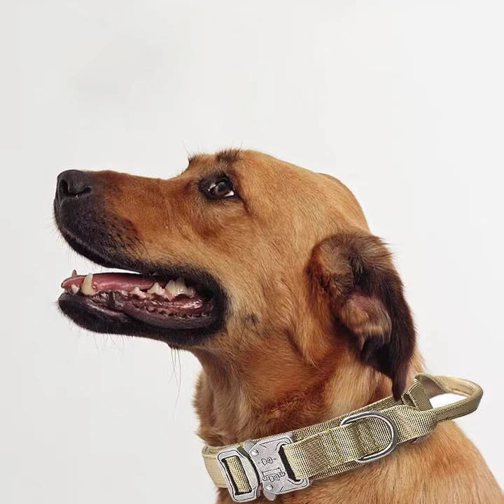 Coleiras e Guias para Cães Pets, Material de Nylon, Coleira Refletiva Durável, Coleira Tática para Treinamento de Pets