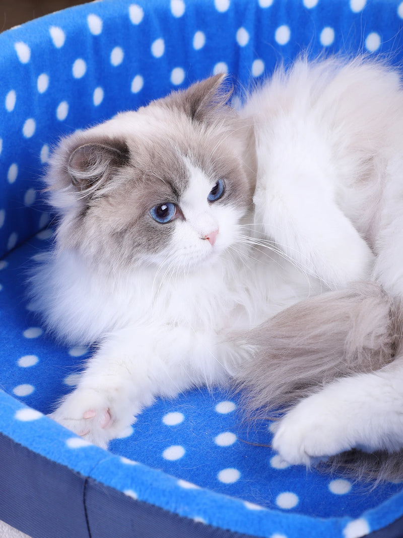 Cat Bed Pet Mat Products for Cats Sofa Comfort Dogs Accessories House Portable Pillow Sleeping Supplies Cushion Kitten Beds Mats