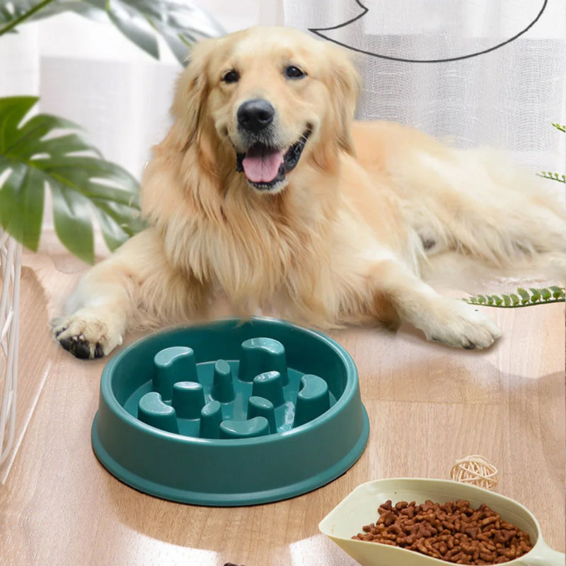 Alimentador Lento para Pets Low-Eat