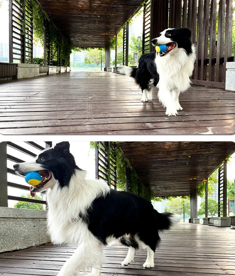 Dogs Interactive Toys Soft TPR Toys for Dog Pet Teeth Cleaning Bite Resistance Squeaky Dog Ball Toy Pet Products Accessories