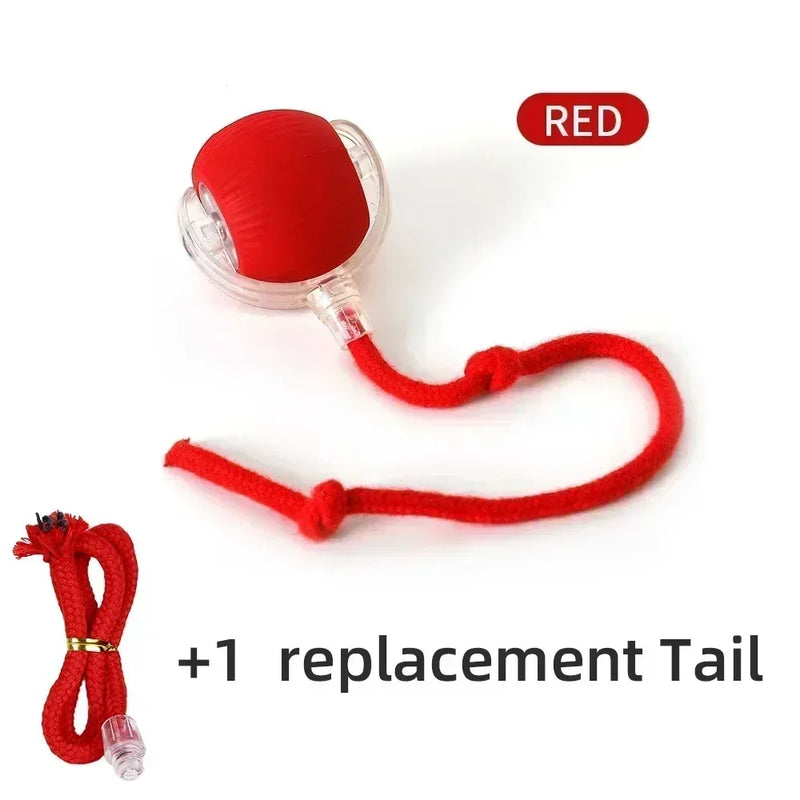 Bola de brinquedo interativa para gatos, bola rolante automática, cauda falsa, recarregável, brinquedo elétrico inteligente para animais de estimação, treinamento para cães e gatos, imitação de rato