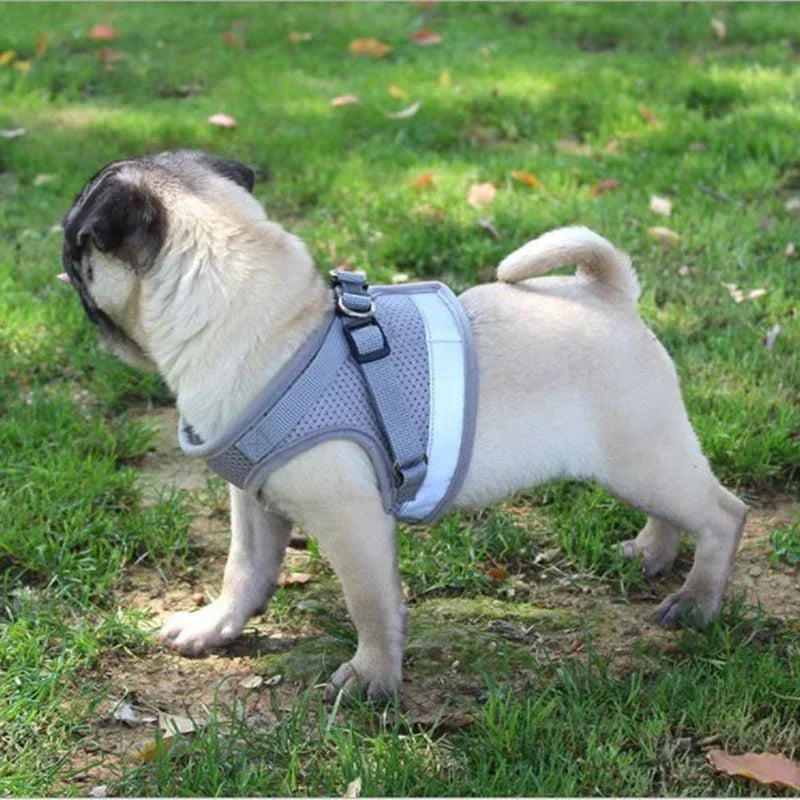Coleira-Colete Peitoral Ajustável Colete de Malha para Cães com Guia de Tração XS/P/M/G/GG