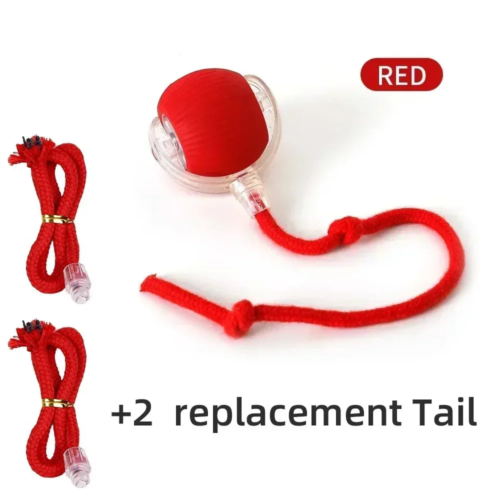 Bola de brinquedo interativa para gatos, bola rolante automática, cauda falsa, recarregável, brinquedo elétrico inteligente para animais de estimação, treinamento para cães e gatos, imitação de rato