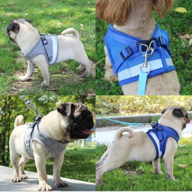 Coleira-Colete Peitoral Ajustável Colete de Malha para Cães com Guia de Tração XS/P/M/G/GG