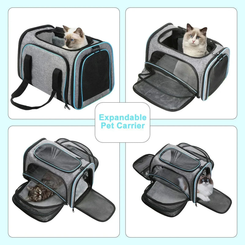 Portable Cat Backpack Carrier Foldable Expandable Pet Travel Bag Airline Approved Breathable Pet Carrier for Dog Pet Accessories