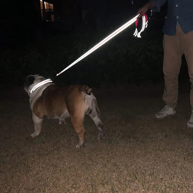 Guia Coleira para Peitorais para Cães, coleira com guia, reflexão noturna, corda de reboque para animais de estimação, 1,2/1,5/1,8 m, corda de proteção, guia para treinamento de caminhada de animais de estimação