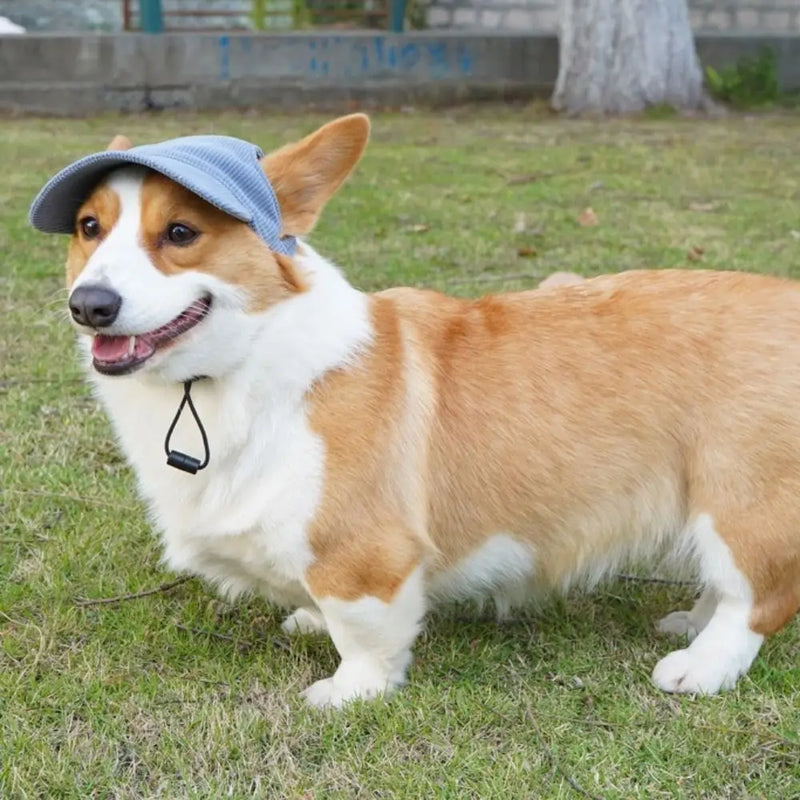 Adjustable Dog Baseball Cap Outdoor Sports Hat Soft Breathable Pet Sun Hat with Ear Holes Dog Parent-Child Hat Hiking