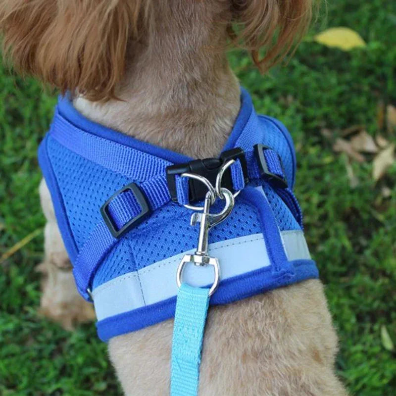 Coleira-Colete Peitoral Ajustável Colete de Malha para Cães com Guia de Tração XS/P/M/G/GG