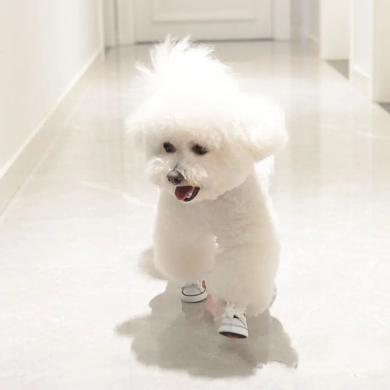 4Pcs Wear-resistant Dog Canvas Shoes Non-slip Breathable Pet Denim Boots Casual Fashion Puppy Sport Sneaker For Small Dogs Cats