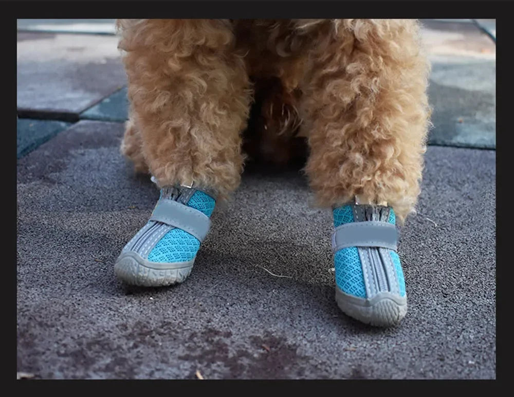 Dog Shoes Waterproof Dog Shoes for Hot Pavement Puppy Pet Boots & Paw Protectors Small Medium Dogs for Hardwood Floors Anti Slip