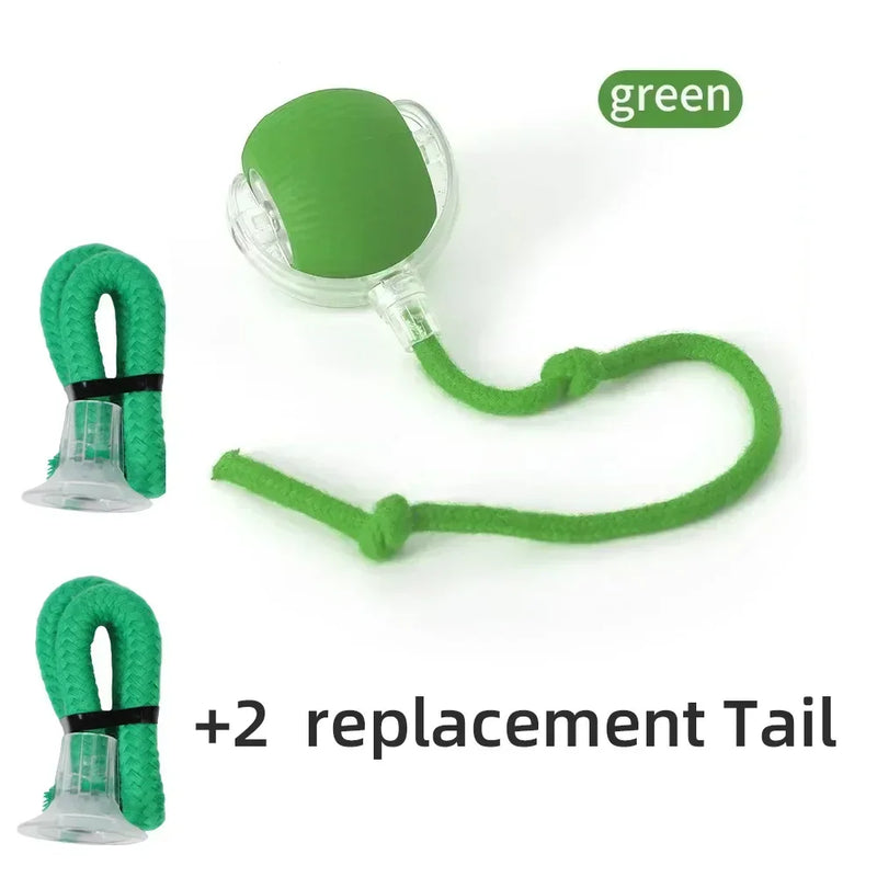 Bola de brinquedo interativa para gatos, bola rolante automática, cauda falsa, recarregável, brinquedo elétrico inteligente para animais de estimação, treinamento para cães e gatos, imitação de rato
