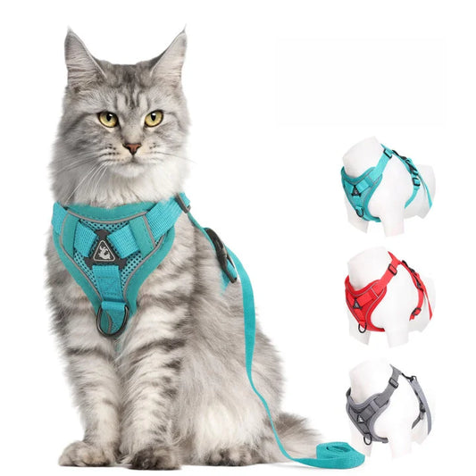 Guia Coleira com Peitoral para Cães Gatos, Respirável à Prova de Fugas, Ideal para Caminhadas ao Ar Livre, Fácil Controle, Reflexiva Noturna