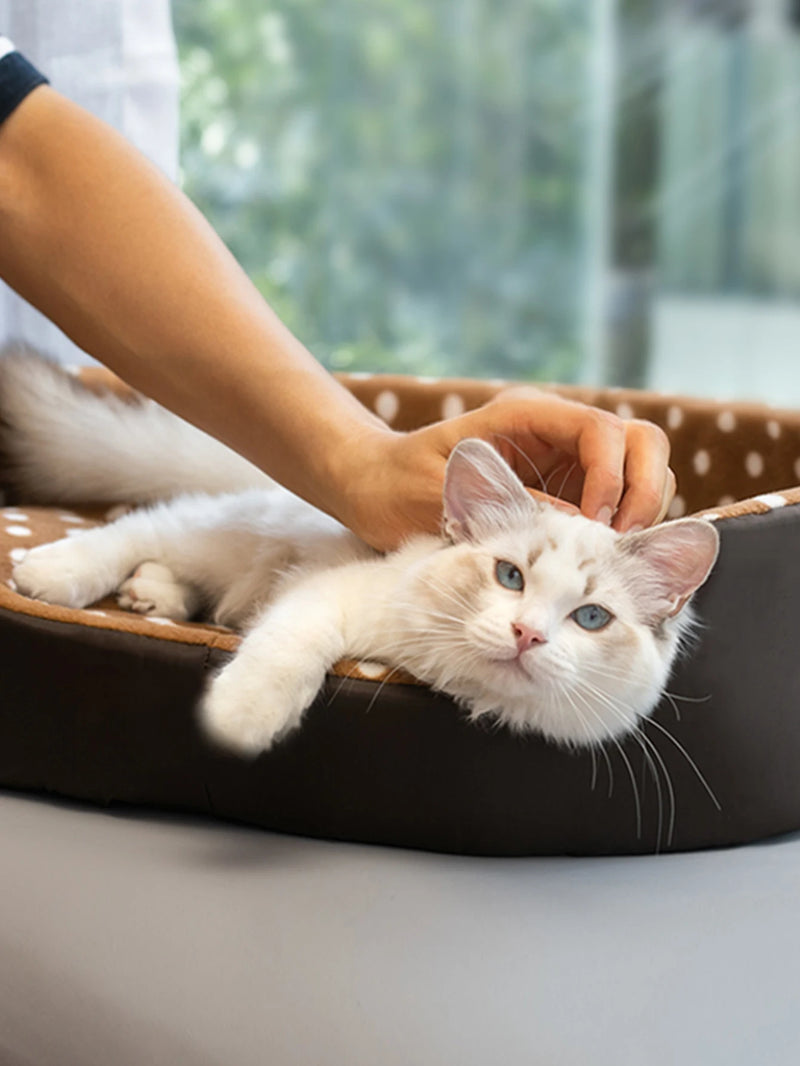 Cat Bed Pet Mat Products for Cats Sofa Comfort Dogs Accessories House Portable Pillow Sleeping Supplies Cushion Kitten Beds Mats