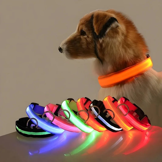Guia Coleira Luminosa LED para Cães, Coleira de Segurança Noturna com LED Brilha no Escuro Coleira Fluorescente Luminosa LED para Cães