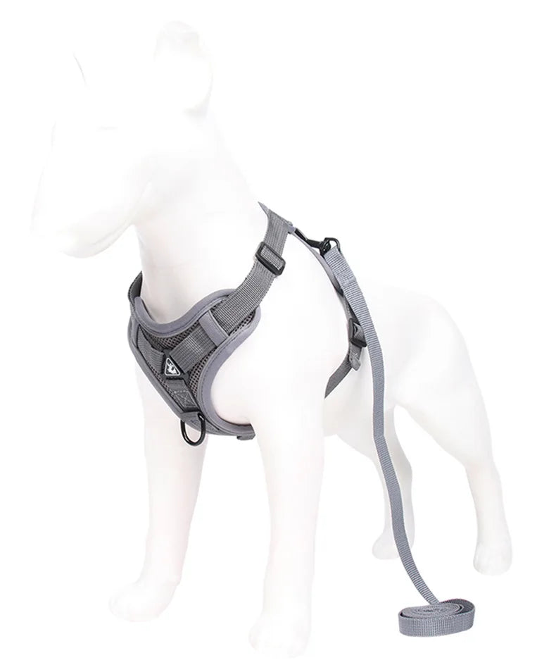 Guia Coleira com Peitoral para Cães Gatos, Respirável à Prova de Fugas, Ideal para Caminhadas ao Ar Livre, Fácil Controle, Reflexiva Noturna