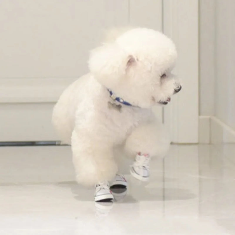 4Pcs Wear-resistant Dog Canvas Shoes Non-slip Breathable Pet Denim Boots Casual Fashion Puppy Sport Sneaker For Small Dogs Cats
